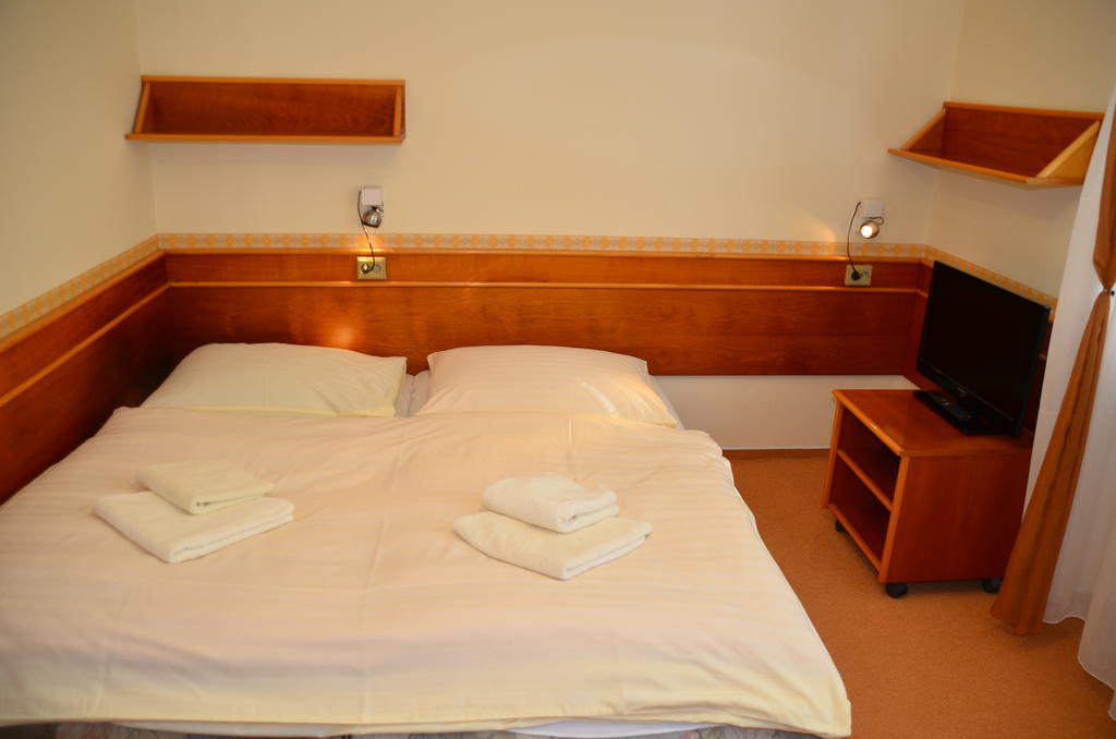 Hotel Penzion Fontis Terrae Trenčianske Teplice Habitación foto